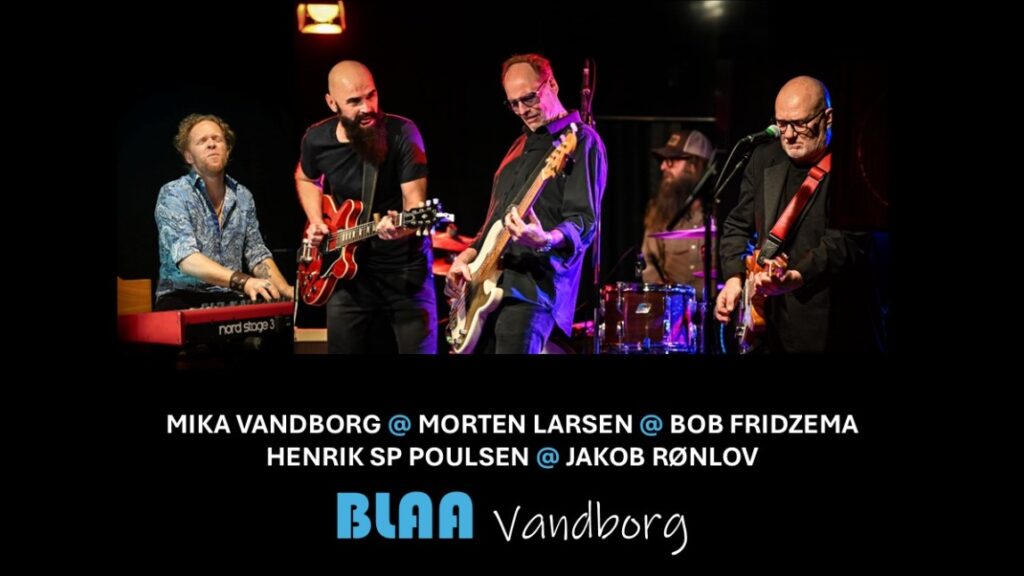BLAA Vandborg